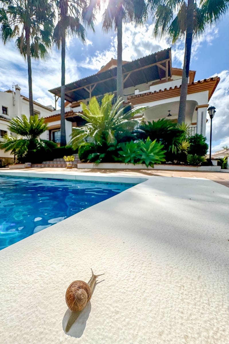 4 bedroom Villa for sale in Alhaurin el Grande with pool garage - € 845,000 (Ref: 9626246)