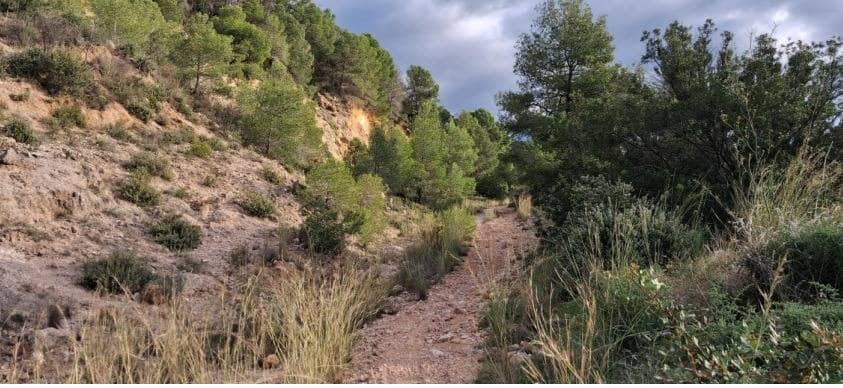 2 sypialnia Finka/Dom wiejski na sprzedaż w Oliva z basenem garażem - 210 000 € (Ref: 9783158)