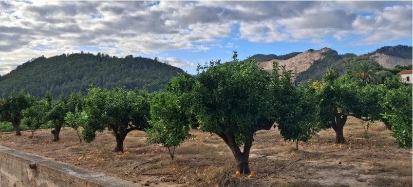 2 sypialnia Finka/Dom wiejski na sprzedaż w Oliva z basenem garażem - 210 000 € (Ref: 9783158)