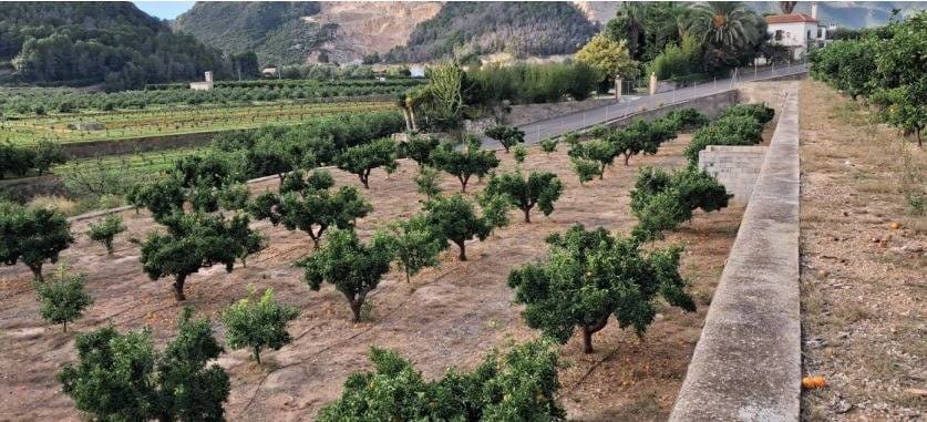 2 sypialnia Finka/Dom wiejski na sprzedaż w Oliva z basenem garażem - 210 000 € (Ref: 9783158)