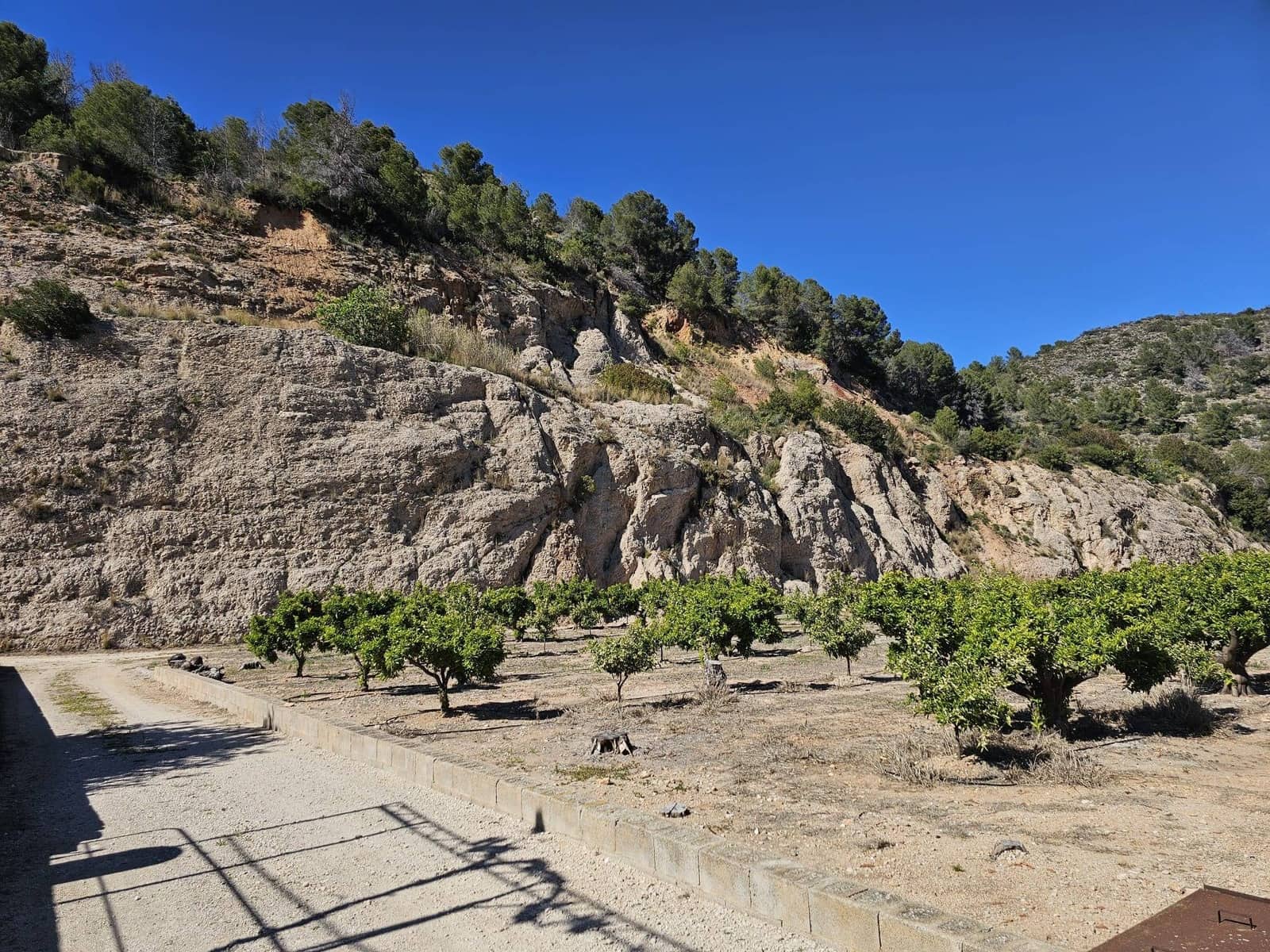 2 sypialnia Finka/Dom wiejski na sprzedaż w Oliva z basenem garażem - 210 000 € (Ref: 9783158)