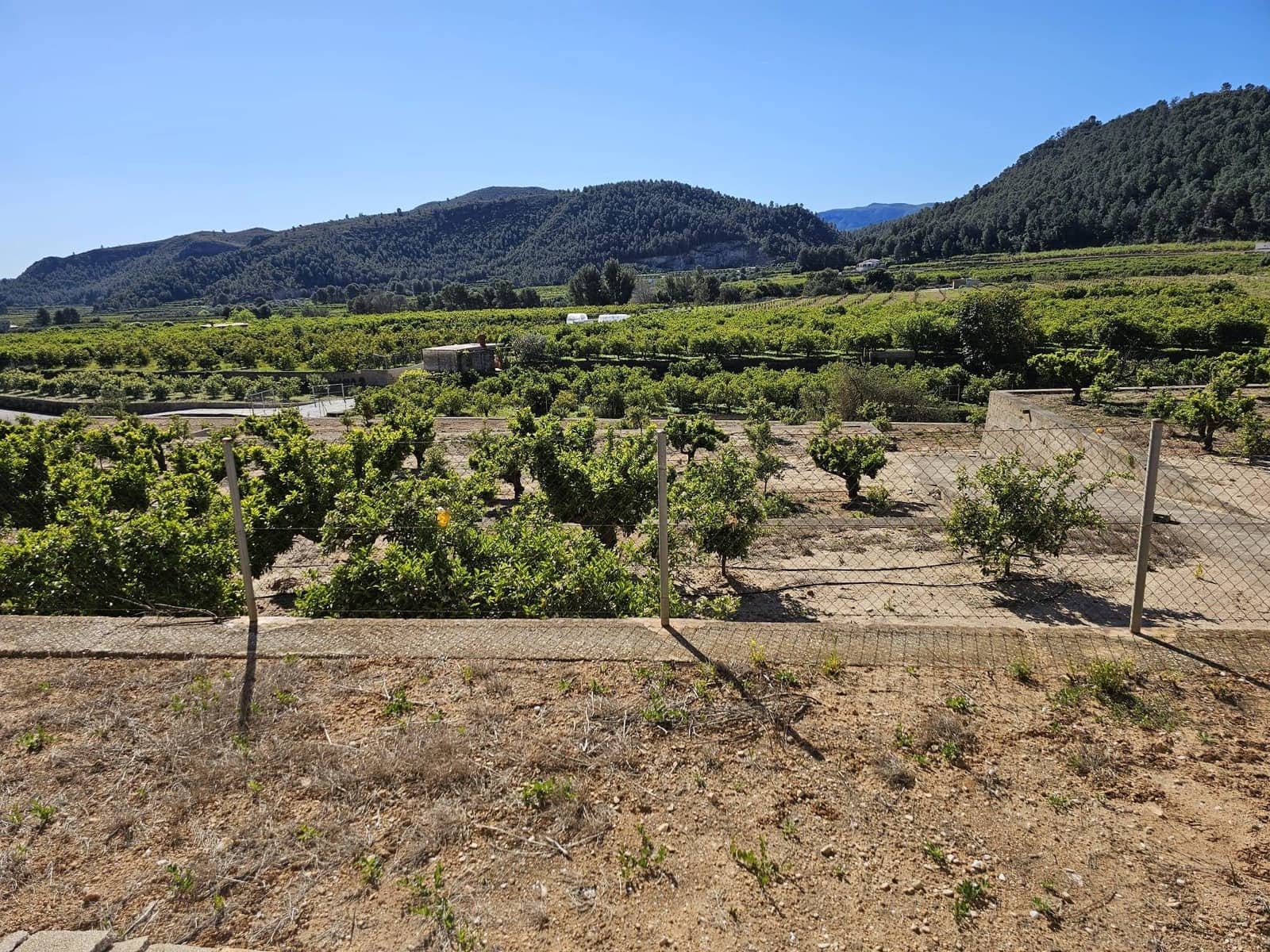 2 sypialnia Finka/Dom wiejski na sprzedaż w Oliva z basenem garażem - 210 000 € (Ref: 9783158)