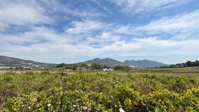 4 slaapkamer Villa te koop in Jalón / Xaló met zwembad garage - € 880.000 (Ref: 9952655)