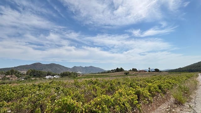 4 slaapkamer Villa te koop in Jalón / Xaló met zwembad garage - € 880.000 (Ref: 9952655)
