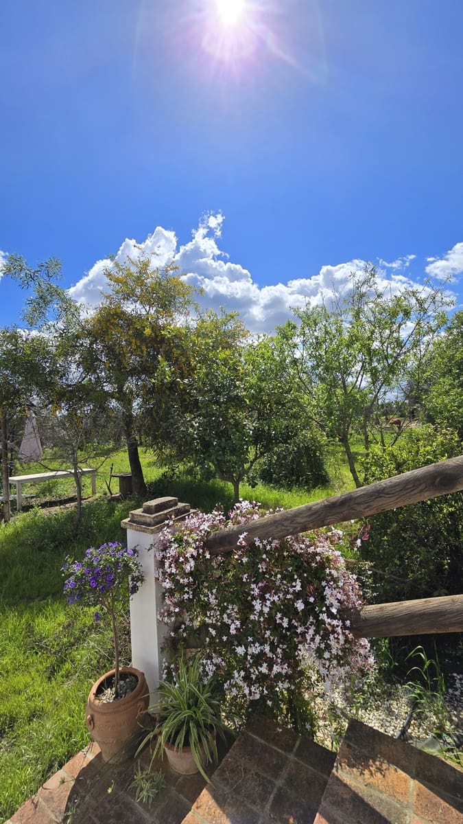 4 bedroom Finca/Country House for sale in Pilas - € 320,000 (Ref: 9632636)