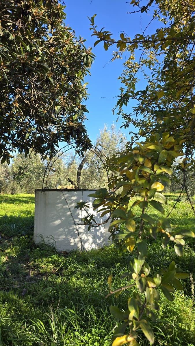 4 bedroom Finca/Country House for sale in Pilas - € 320,000 (Ref: 9632636)