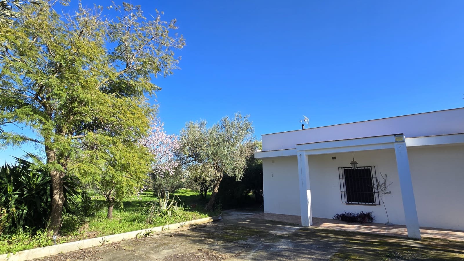 4 bedroom Finca/Country House for sale in Pilas - € 320,000 (Ref: 9632636)