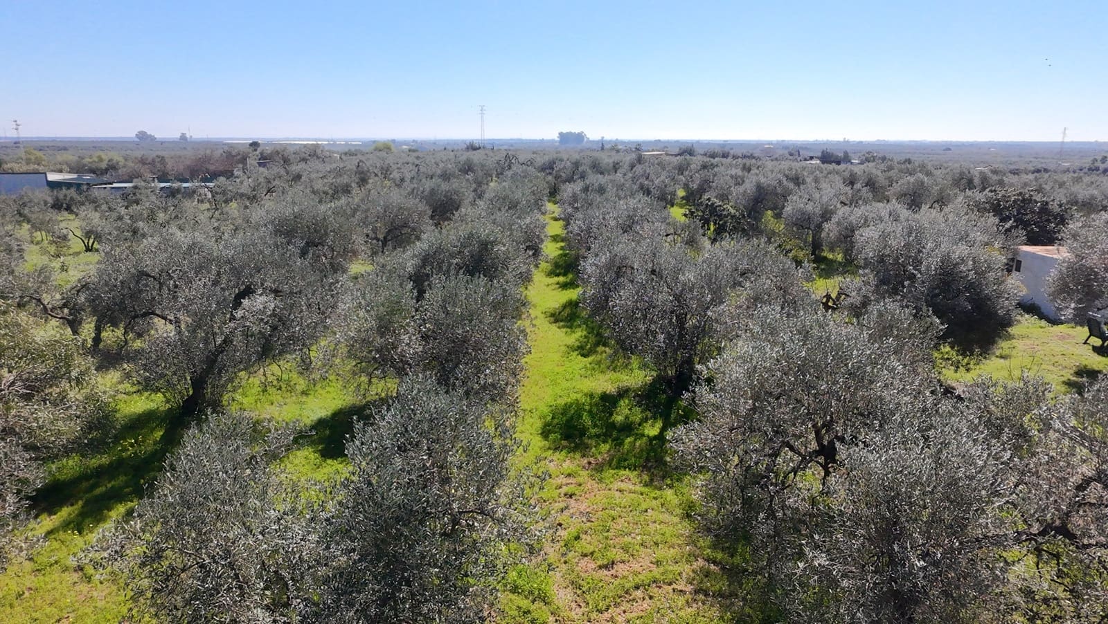 4 bedroom Finca/Country House for sale in Pilas - € 320,000 (Ref: 9632636)