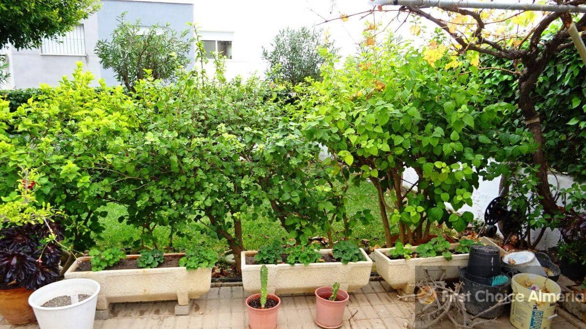 4 sovrum Villa till salu i Vera med garage - 630 000 € (Ref: 5933992)