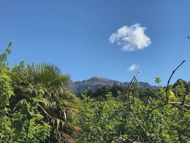 Building Plot for sale in El Pueyo de Araguas - € 155,000 (Ref: 9963459)