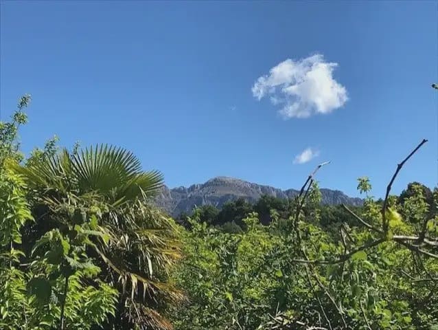 Terreno para Construção para venda em El Pueyo de Araguás - 155 000 € (Ref: 9963459)