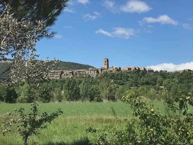 Building Plot for sale in El Pueyo de Araguas - € 155,000 (Ref: 9963459)
