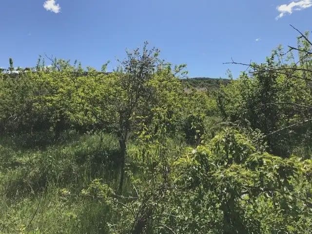 Building Plot for sale in El Pueyo de Araguas - € 155,000 (Ref: 9963459)