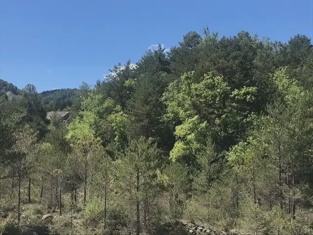 Building Plot for sale in El Pueyo de Araguas - € 155,000 (Ref: 9963459)
