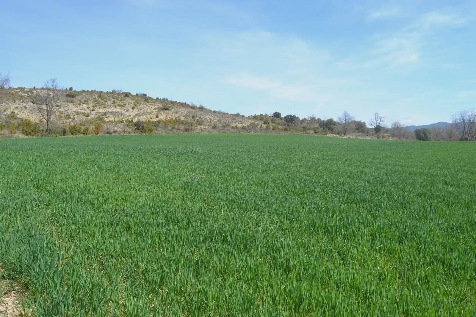 4 bedroom Finca/Country House for sale in Sabinanigo with garage - € 190,000 (Ref: 9963463)