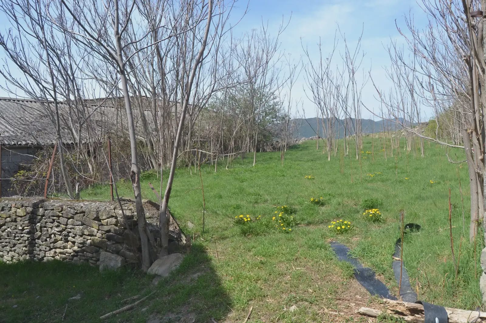 4 bedroom Finca/Country House for sale in Sabinanigo with garage - € 190,000 (Ref: 9963463)