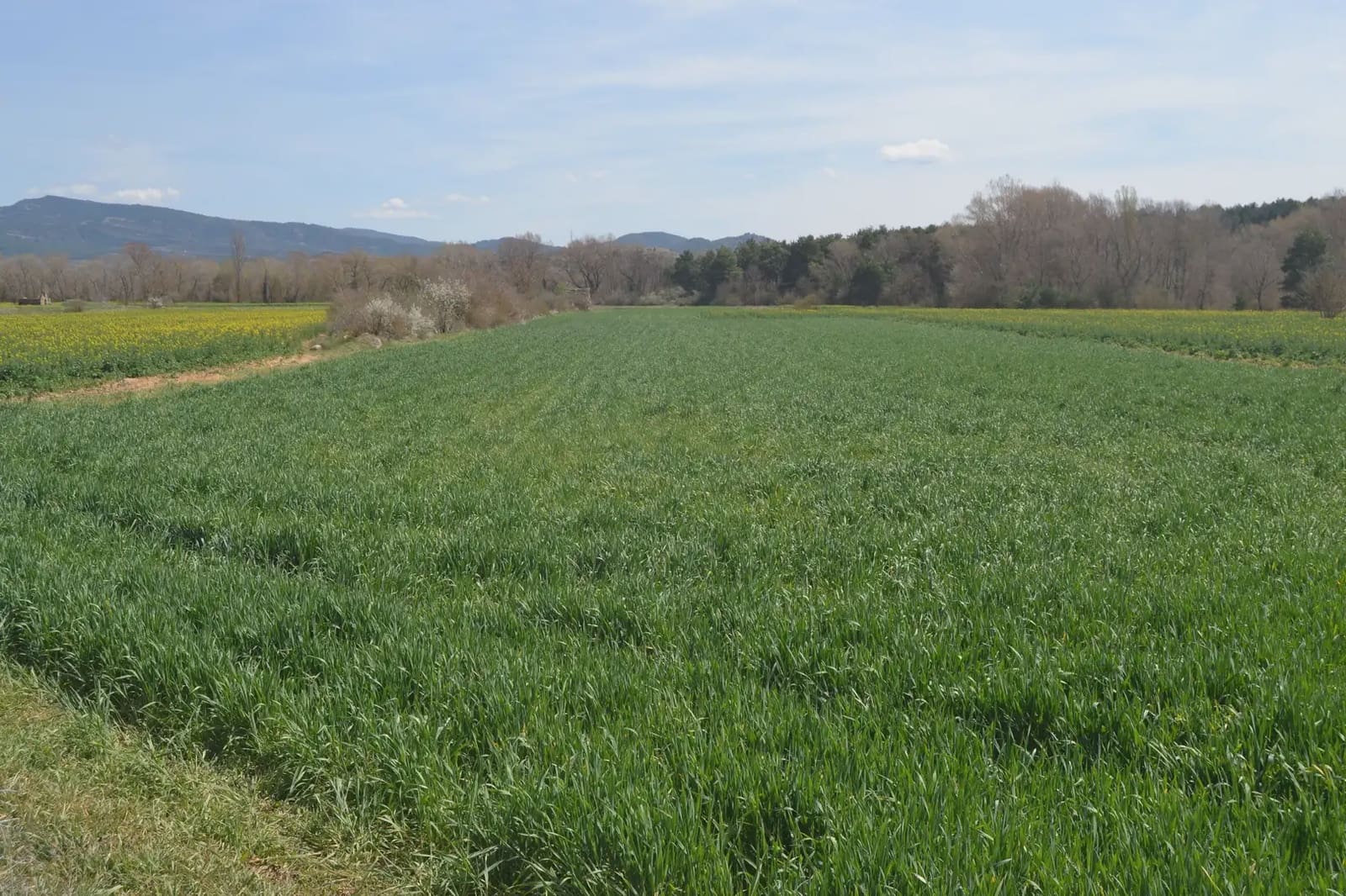 4 bedroom Finca/Country House for sale in Sabinanigo with garage - € 190,000 (Ref: 9963463)