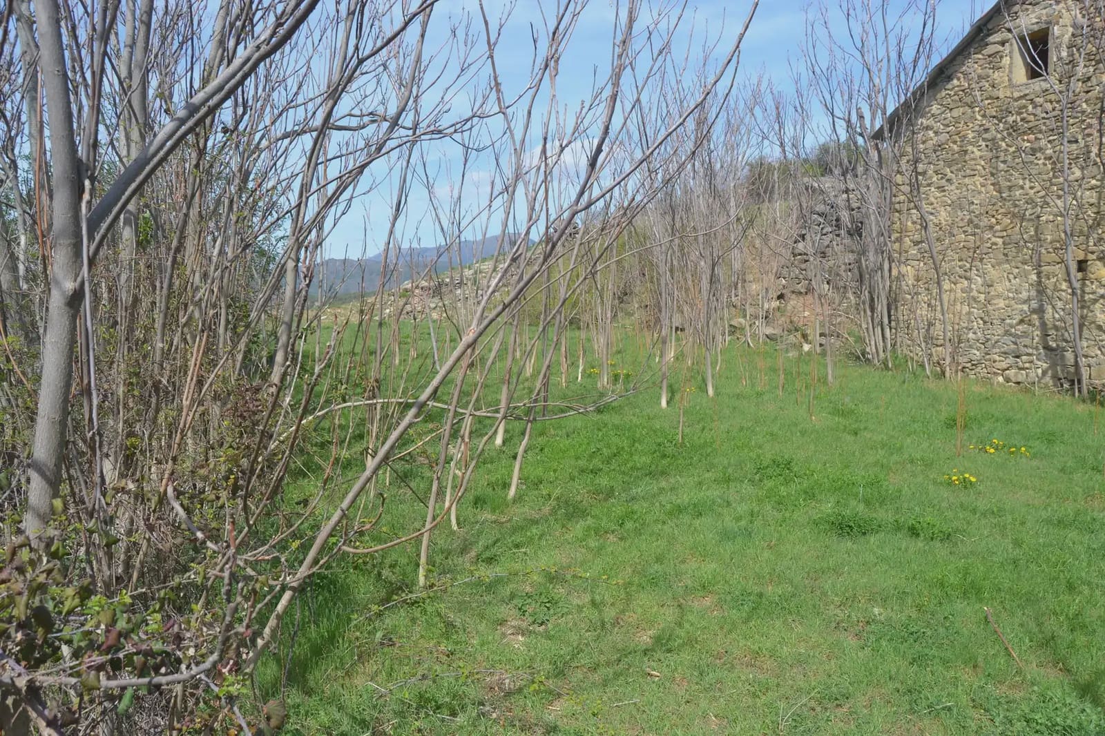4 bedroom Finca/Country House for sale in Sabinanigo with garage - € 190,000 (Ref: 9963463)