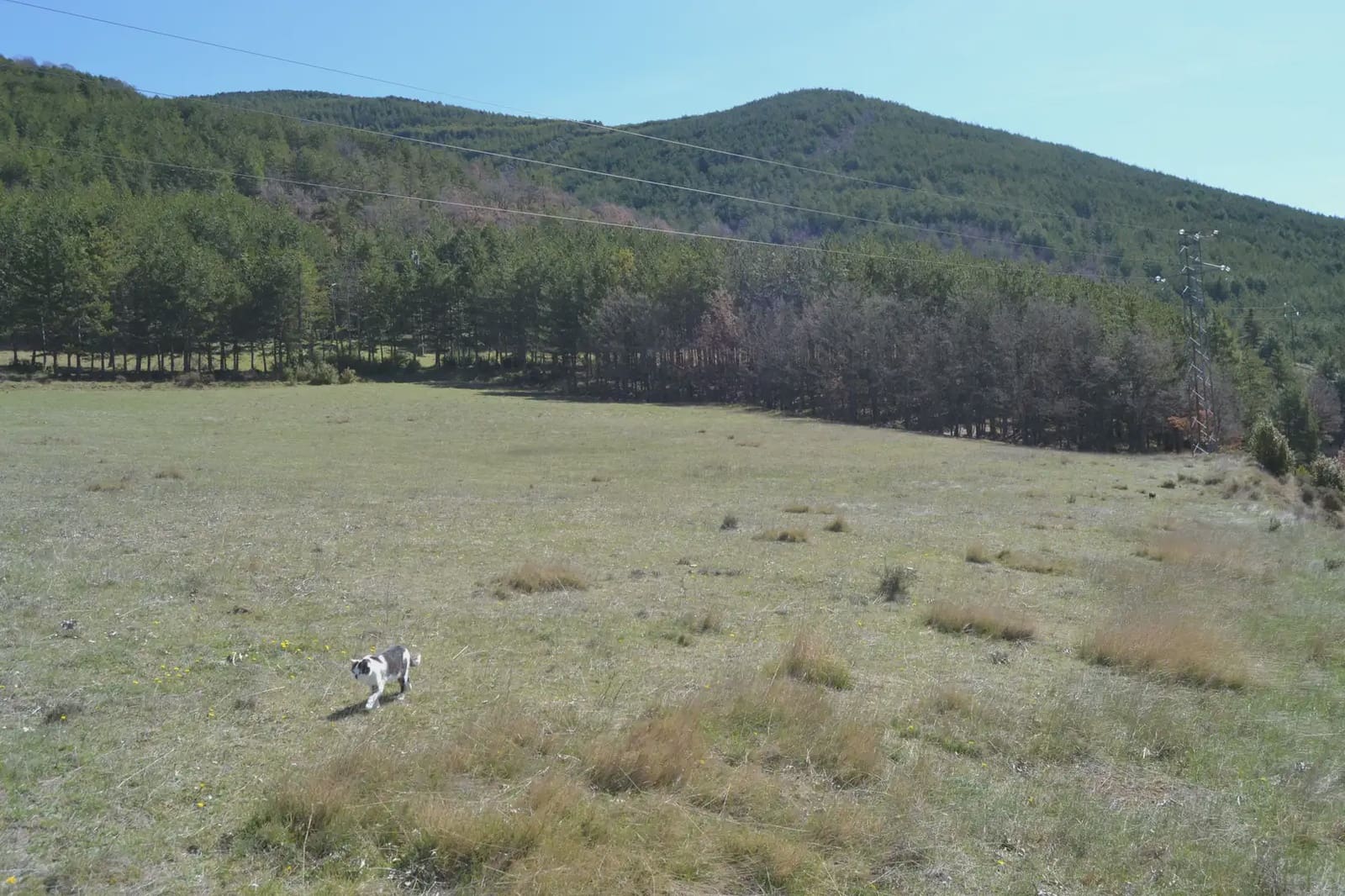 Terreno Não Urbanizado para venda em Jaca - 65 000 € (Ref: 9963466)