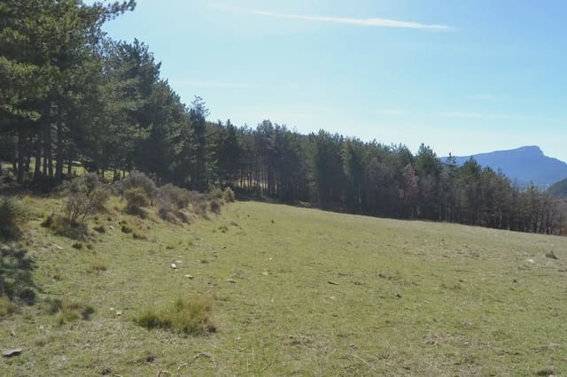 Terreno Não Urbanizado para venda em Jaca - 65 000 € (Ref: 9963466)