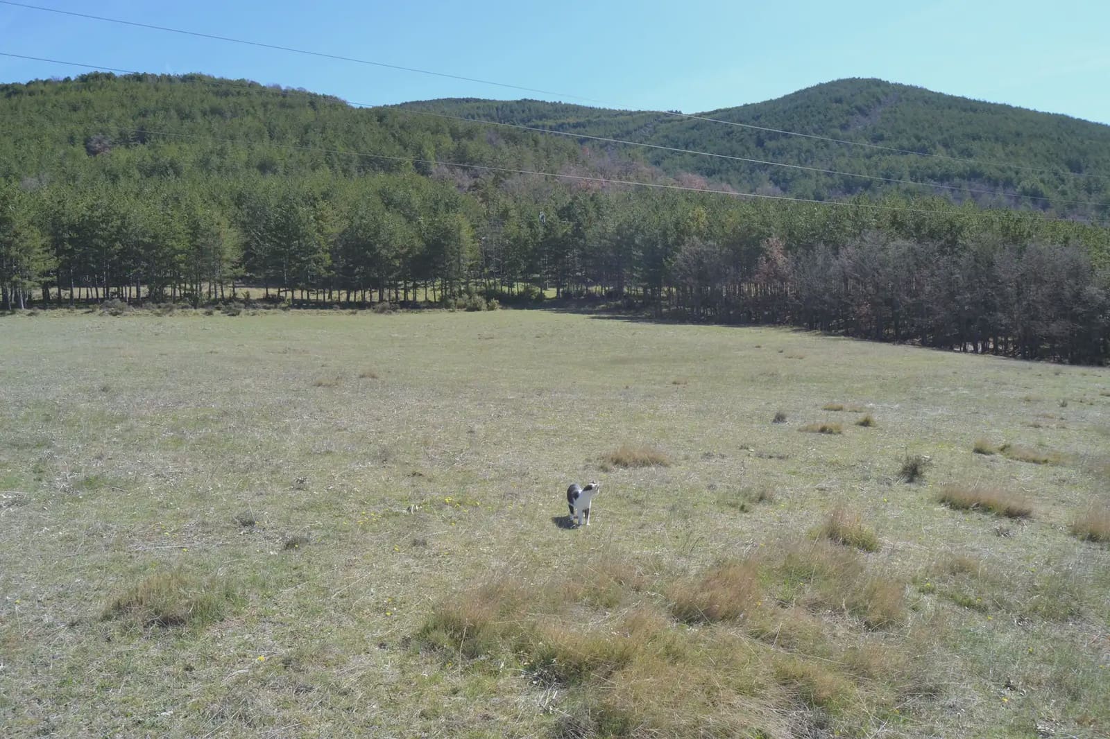Terreno Não Urbanizado para venda em Jaca - 65 000 € (Ref: 9963466)
