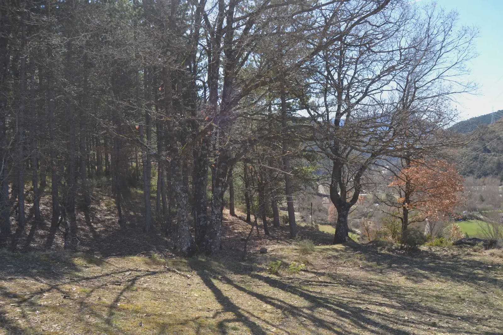 Terreno Não Urbanizado para venda em Jaca - 65 000 € (Ref: 9963466)