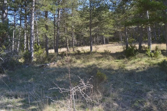 Terreno Não Urbanizado para venda em Jaca - 65 000 € (Ref: 9963466)