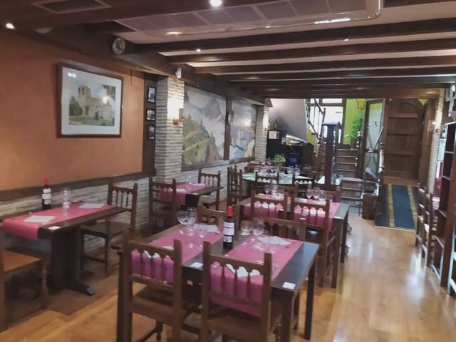 Commercial for sale in Jaca - € 875,000 (Ref: 9963470)