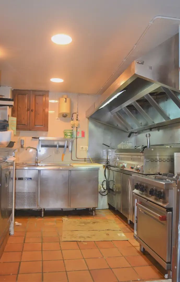 Comercial para venda em Aisa - 295 000 € (Ref: 9963474)