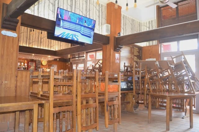 Commercial for sale in Aisa - € 295,000 (Ref: 9963474)