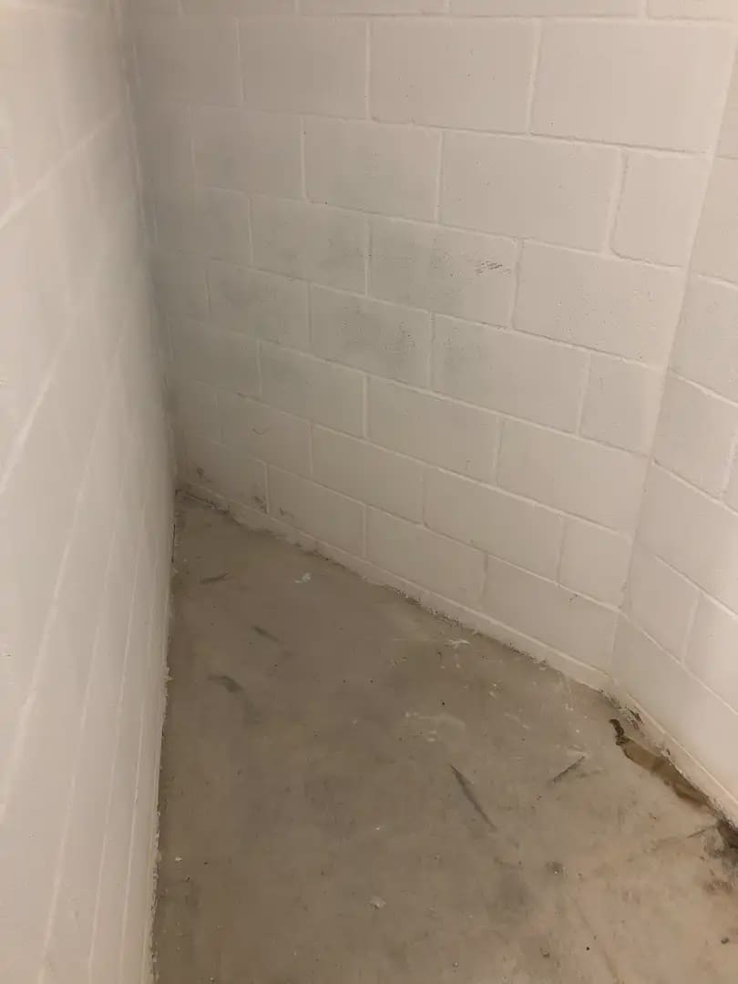 Yritys myytävänä paikassa Jaca - 5 000 € (Ref: 9963475)