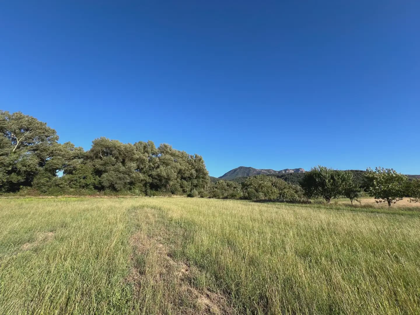 Terreno Não Urbanizado para venda em Santa Cilia - 35 000 € (Ref: 9963485)