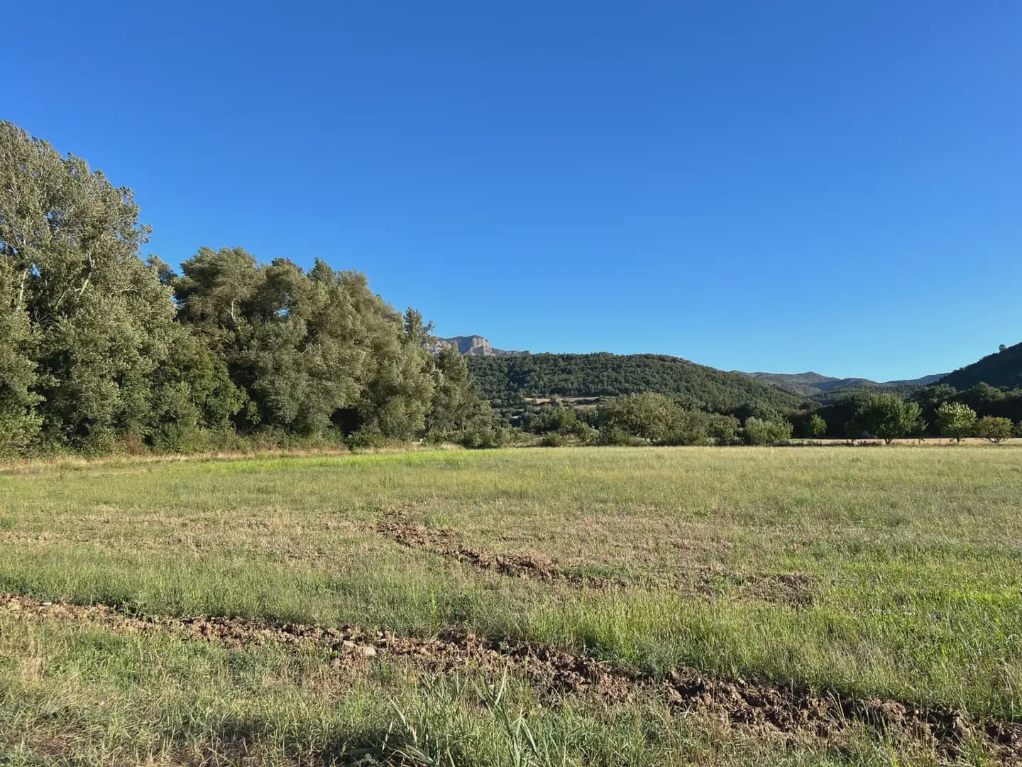 Terreno Não Urbanizado para venda em Santa Cilia - 35 000 € (Ref: 9963485)