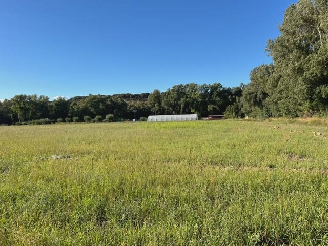Undeveloped Land for sale in Santa Cilia - € 35,000 (Ref: 9963485)