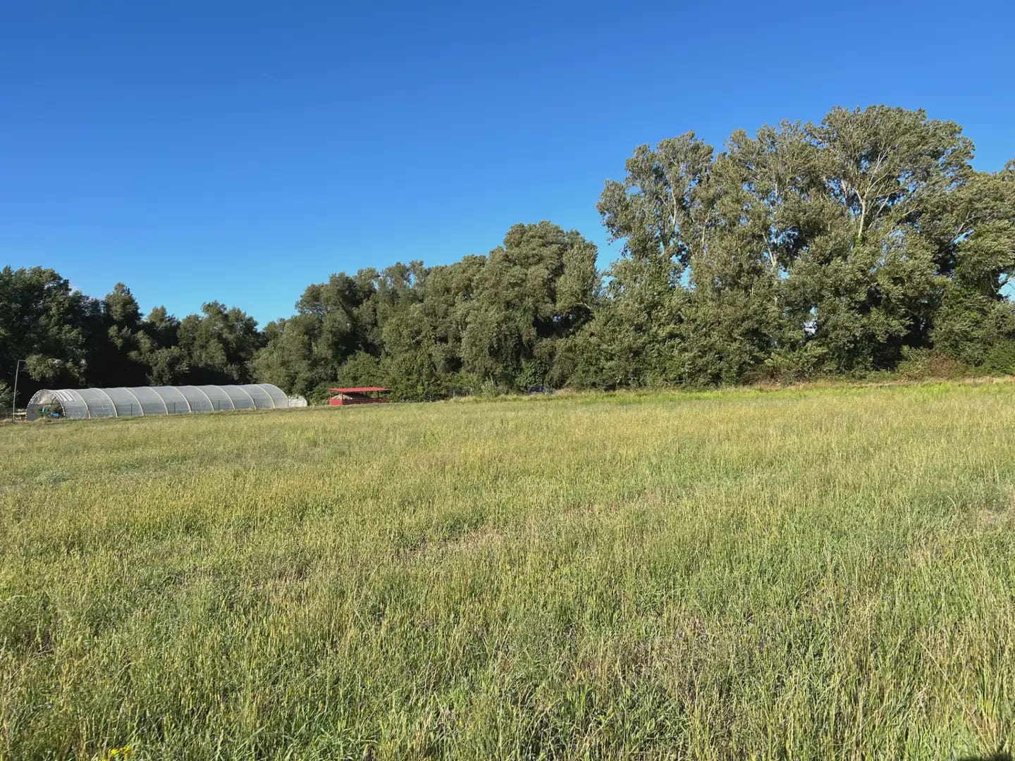 Terreno Não Urbanizado para venda em Santa Cilia - 35 000 € (Ref: 9963485)
