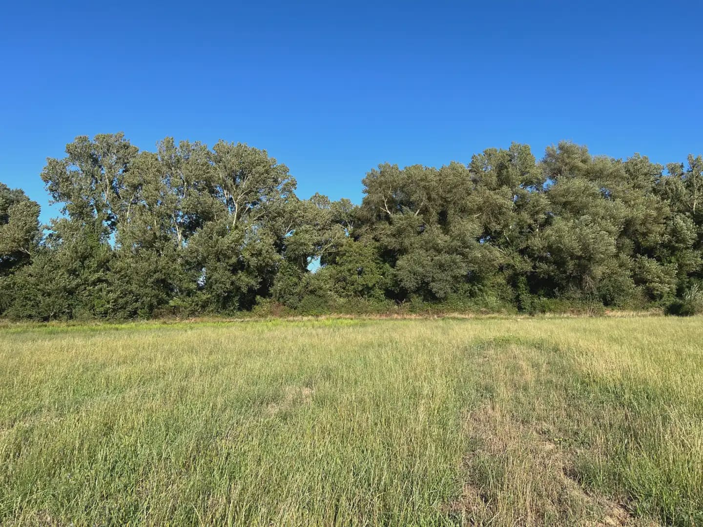 Terreno Não Urbanizado para venda em Santa Cilia - 35 000 € (Ref: 9963485)