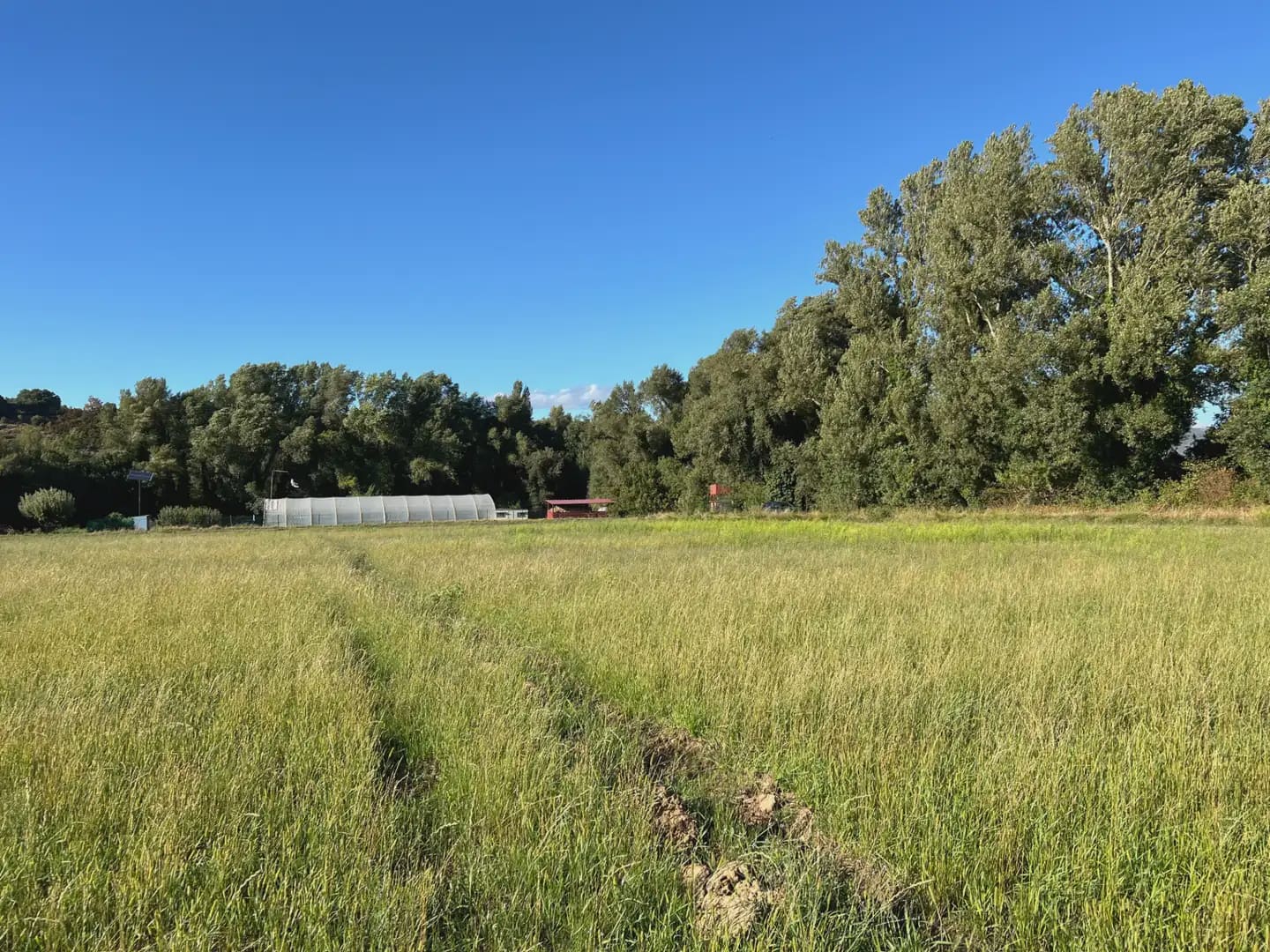Terreno Não Urbanizado para venda em Santa Cilia - 35 000 € (Ref: 9963485)
