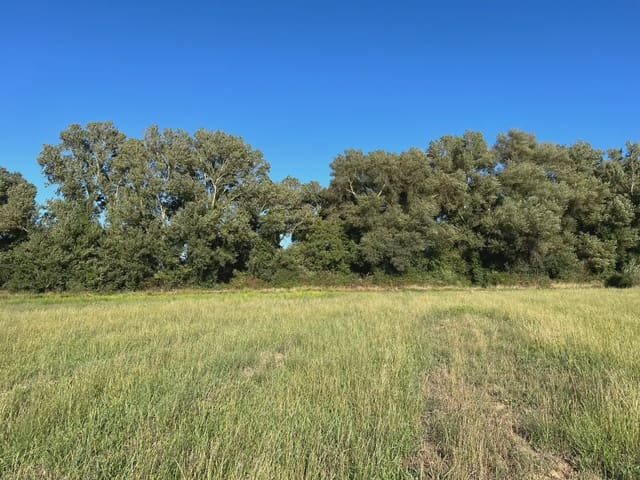 Undeveloped Land for sale in Santa Cilia - € 35,000 (Ref: 9963485)