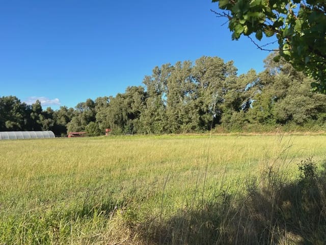 Undeveloped Land for sale in Santa Cilia - € 35,000 (Ref: 9963485)