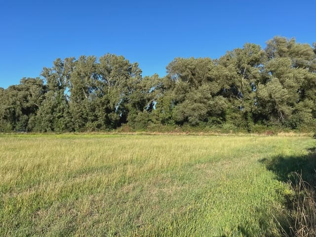 Undeveloped Land for sale in Santa Cilia - € 35,000 (Ref: 9963485)