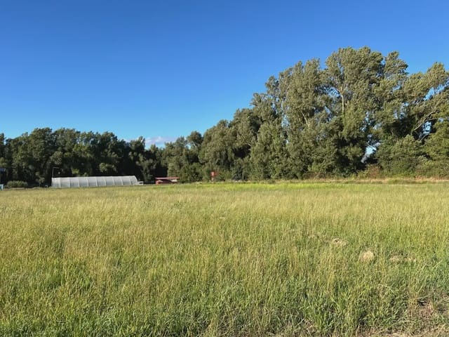 Undeveloped Land for sale in Santa Cilia - € 35,000 (Ref: 9963485)