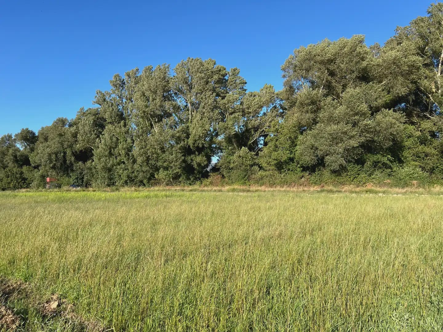 Terreno Não Urbanizado para venda em Santa Cilia - 35 000 € (Ref: 9963485)