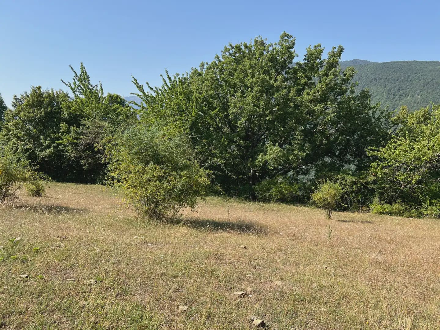 Finca/Country House for sale in Broto - € 145,000 (Ref: 9963487)