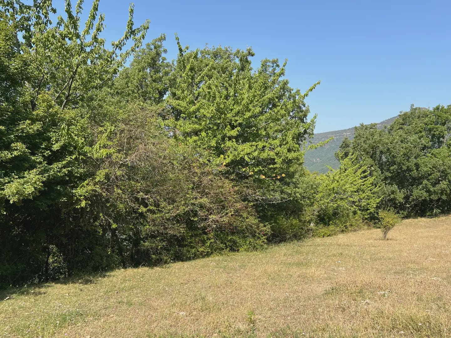 Finca/Country House for sale in Broto - € 145,000 (Ref: 9963487)