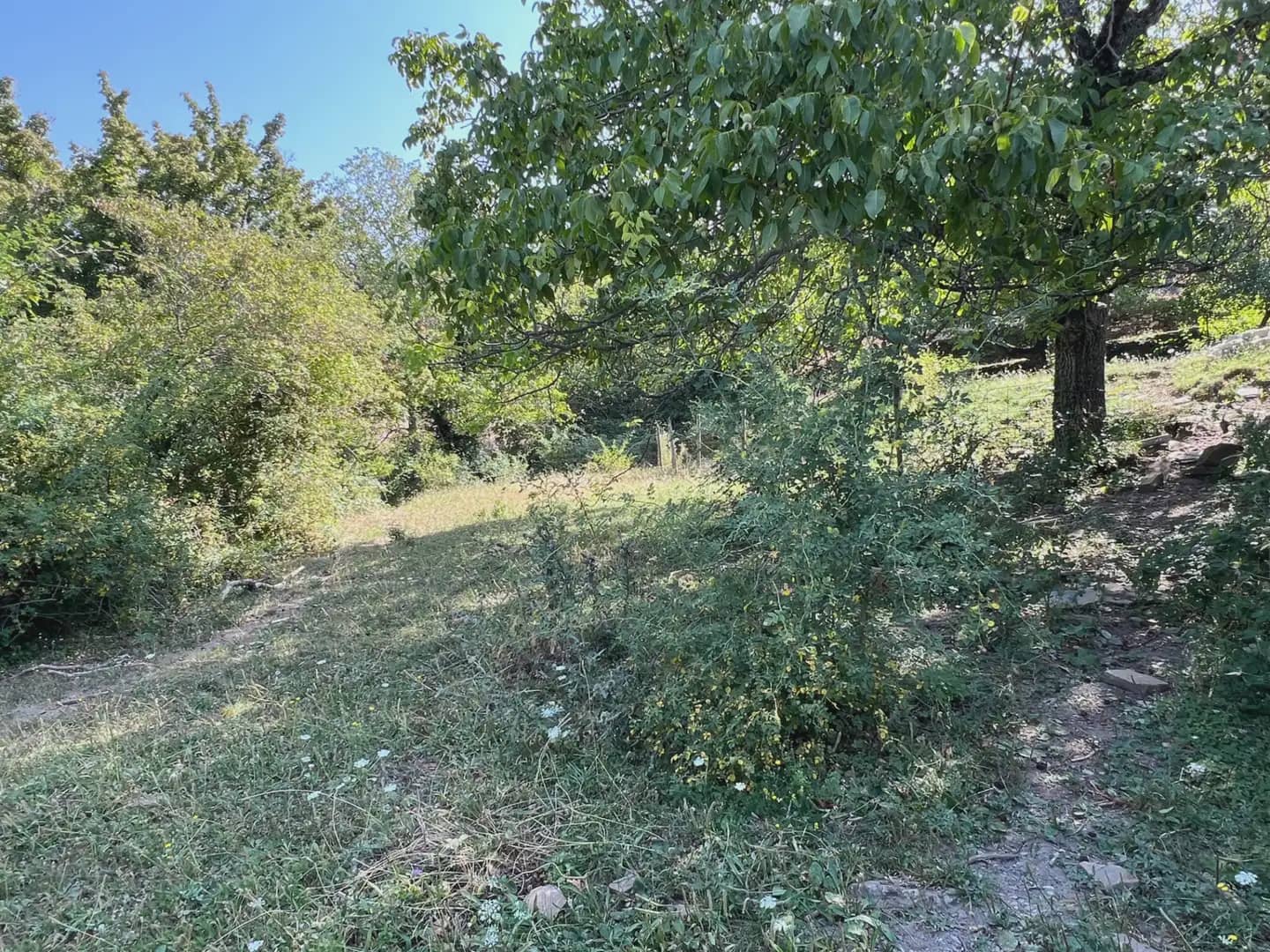 Finca/Country House for sale in Broto - € 145,000 (Ref: 9963487)