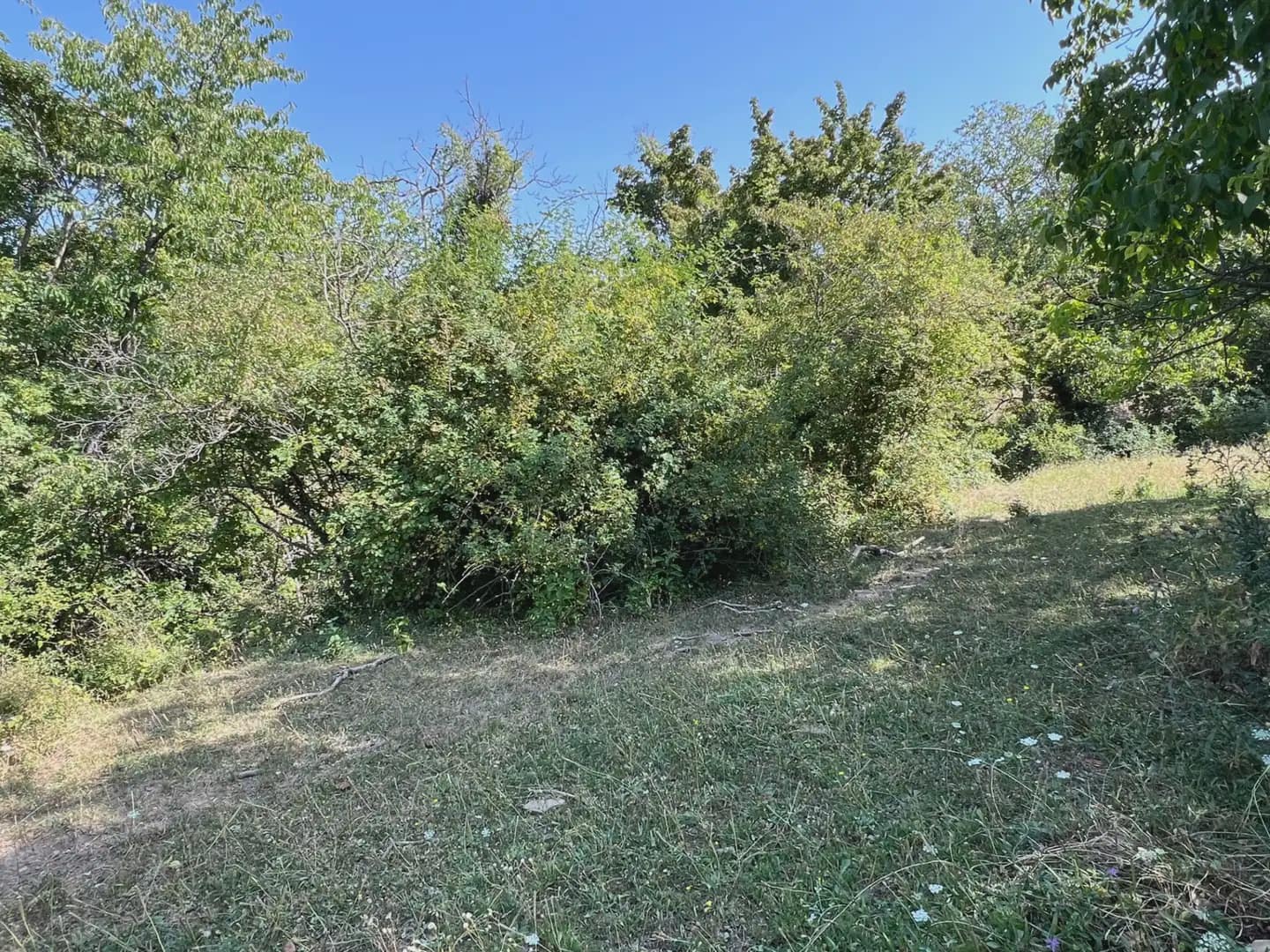 Finca/Country House for sale in Broto - € 145,000 (Ref: 9963487)