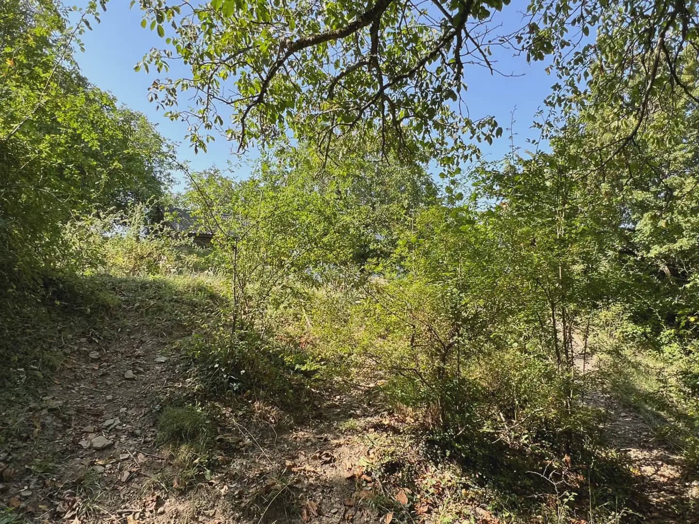 Finca/Country House for sale in Broto - € 145,000 (Ref: 9963487)
