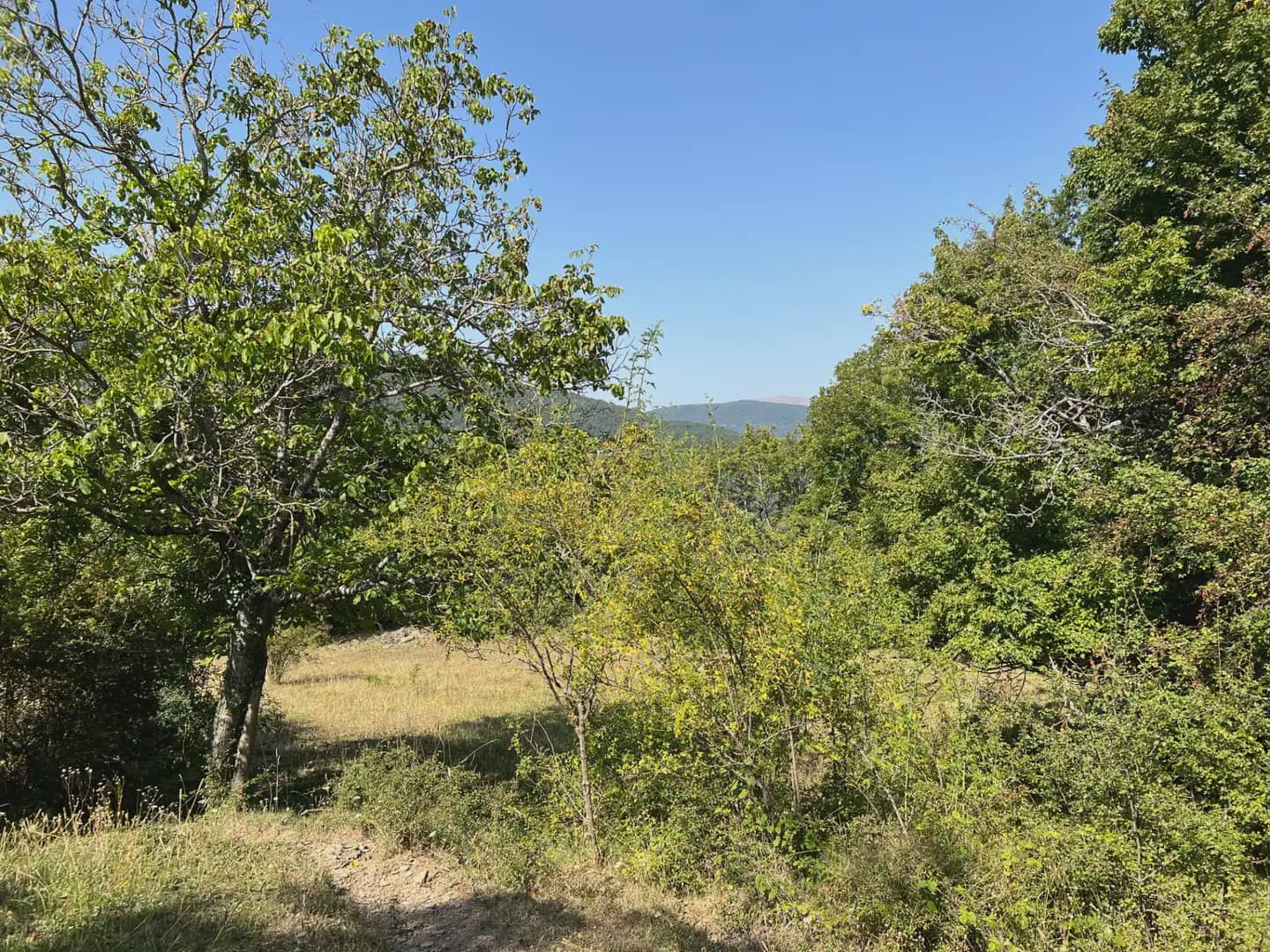 Finca/Country House for sale in Broto - € 145,000 (Ref: 9963487)