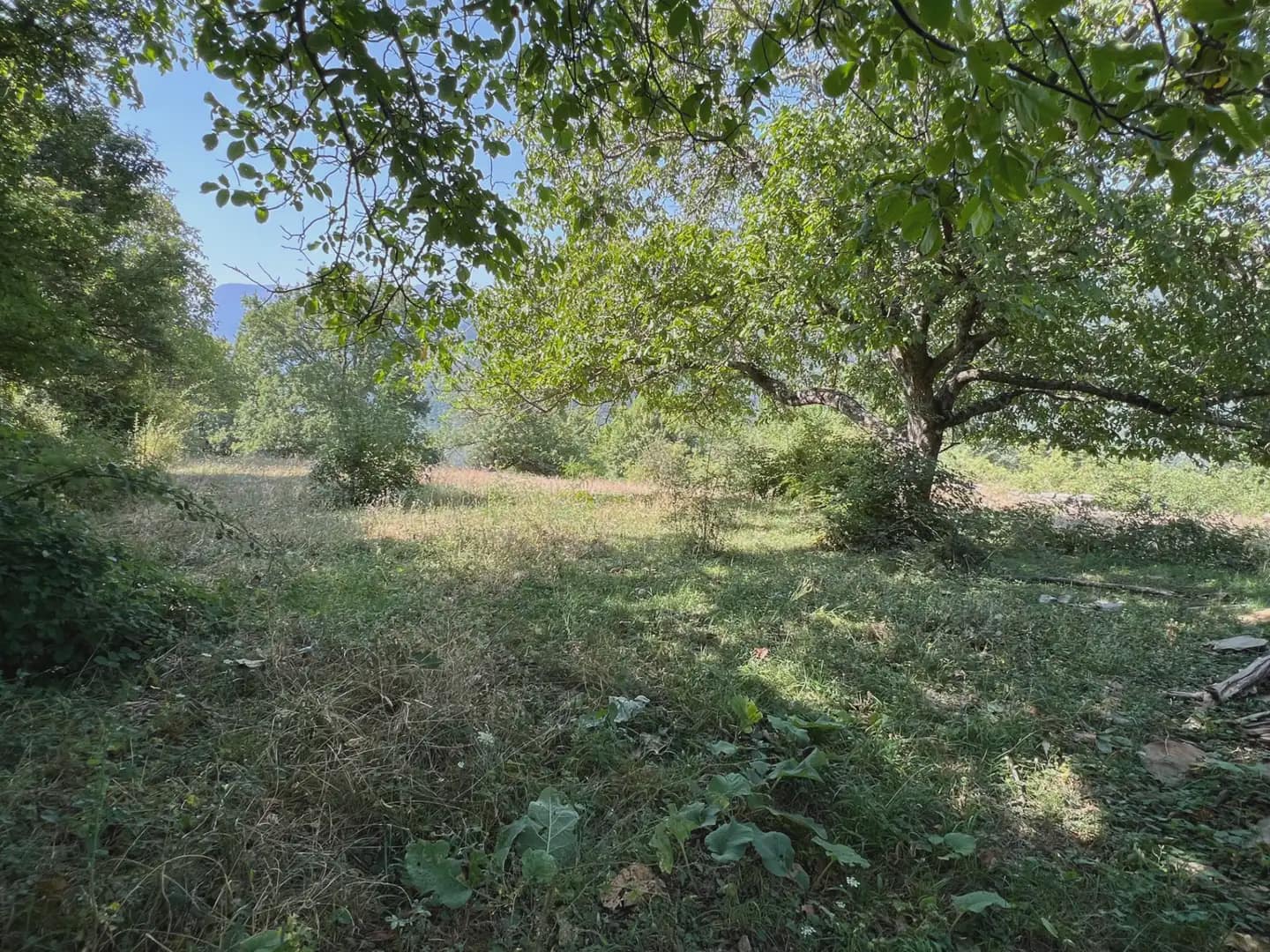 Finca/Country House for sale in Broto - € 145,000 (Ref: 9963487)