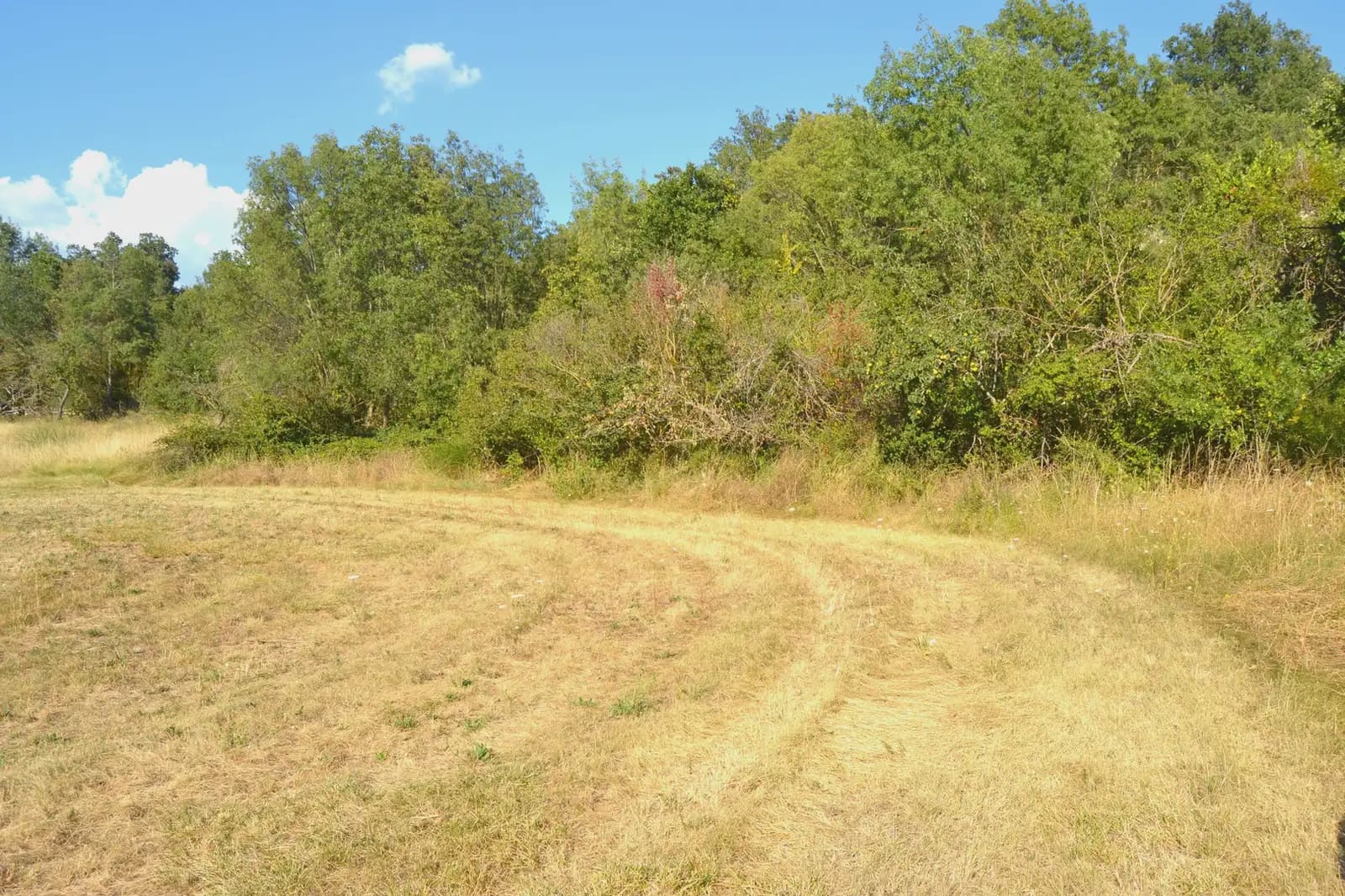 Terreno Não Urbanizado para venda em Jasa - 50 000 € (Ref: 9963491)